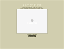 Tablet Screenshot of carolynblish.com